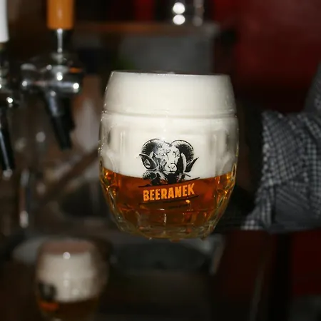 U Budvaru 3* 체스케부데요비체