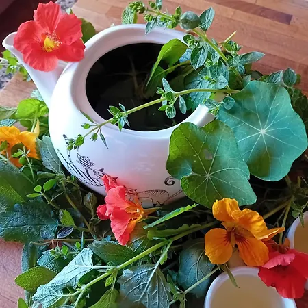 فندق U Budvaru 3*