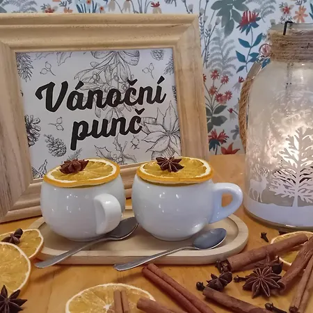 U Budvaru 3* تشيسكي بوديوفيتسه