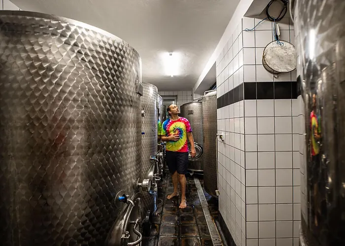 U Budvaru 3* تشيسكي بوديوفيتسه