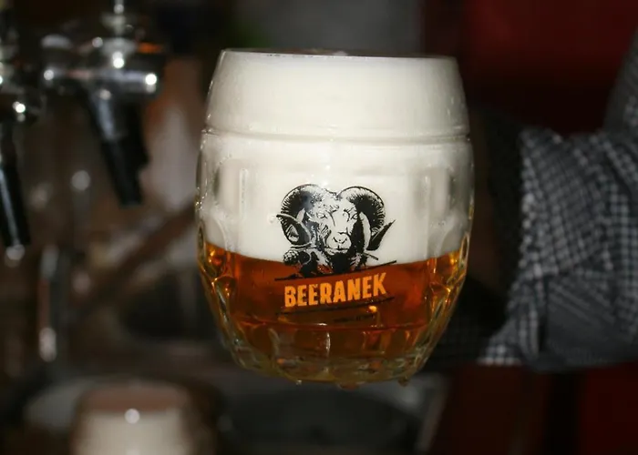 U Budvaru 3* تشيسكي بوديوفيتسه