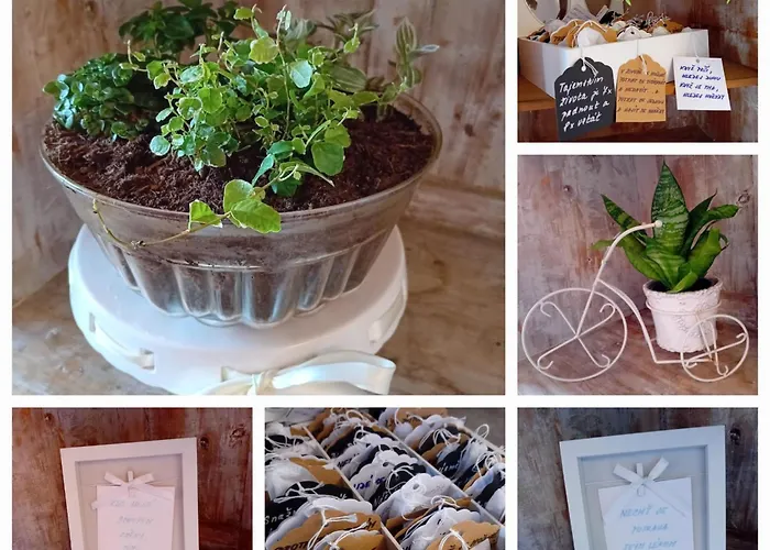 فندق U Budvaru تشيسكي بوديوفيتسه