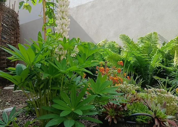 乌布达瓦鲁酒店 3* 捷克布杰约维采