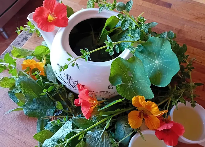 فندق U Budvaru 3*