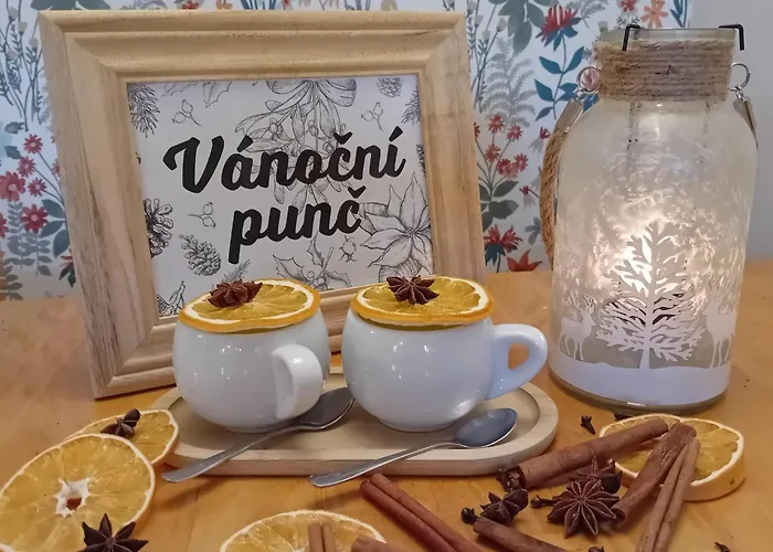 U Budvaru 3* تشيسكي بوديوفيتسه